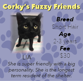 Corky's Fuzzy Friends: Lia